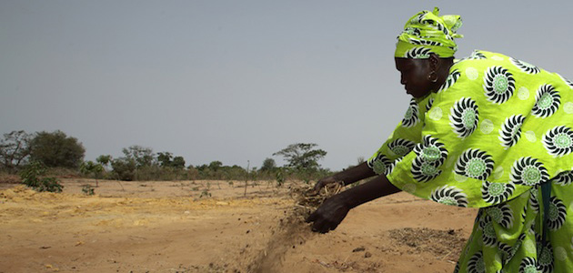 senegal-small-farming_1.jpg