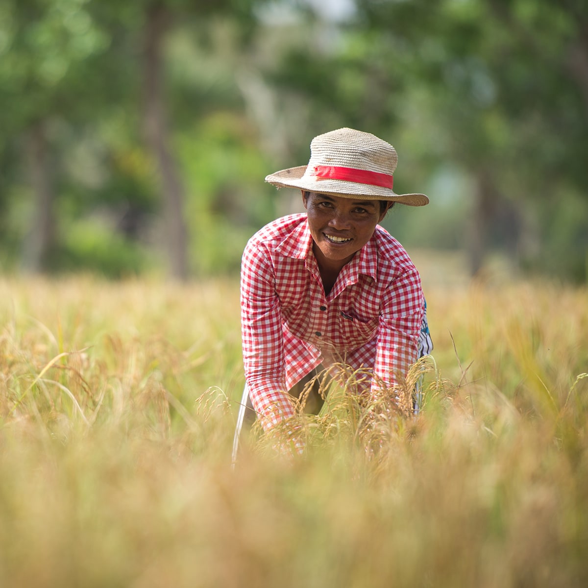 A smiling woman working in a field